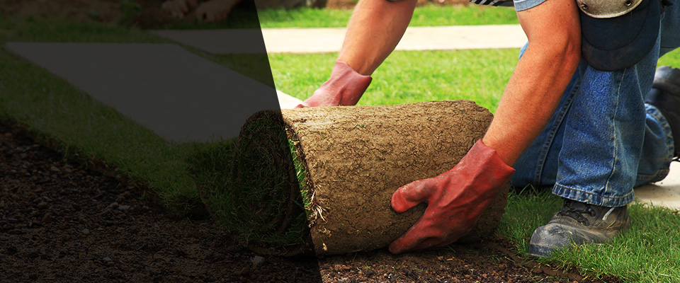 Pocahontas Landscapers